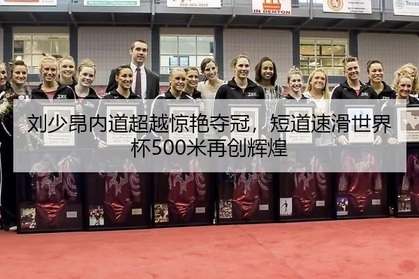 liu-shao-ang-nei-dao-chao-yue-jing-yan-duo-guan-duan-dao-su-hua-shi-jie-bei-mi-zai-chuang-hui-huang-3-356.jpg